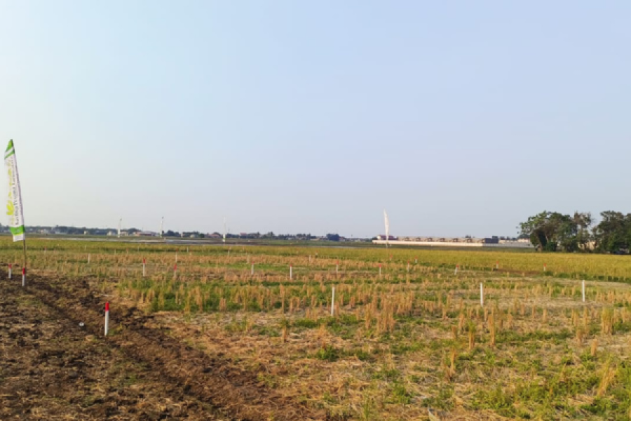 tanpa-bi-checking-di-bekasi-tanah-kavling-siap-bangun